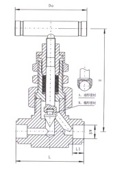 SS-6NBSW8T美標(biāo)焊接針型閥(圖1)